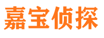 武江侦探社